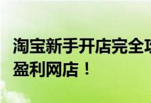 淘宝新手开店完全攻略教程：从零起步，打造盈利网店！