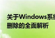 关于Windows系统下的Winsxs文件夹能否删除的全面解析