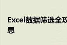 Excel数据筛选全攻略：轻松锁定你需要的信息