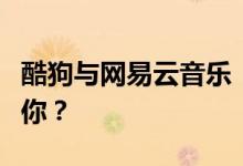 酷狗与网易云音乐：哪一款音乐播放器更适合你？