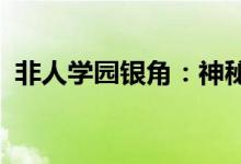 非人学园银角：神秘的英雄解析与实战指南