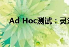 Ad Hoc测试：灵活应对变化的秘密武器