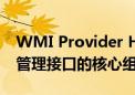 WMI Provider Host：深入了解Windows管理接口的核心组件