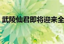 武陵仙君即将迎来全新返场，最新消息曝光！