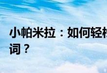 小帕米拉：如何轻松锁定并深入了解这个关键词？