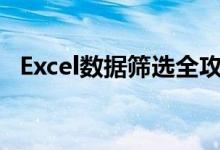 Excel数据筛选全攻略：步骤、方法与技巧