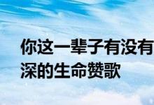 你这一辈子有没有为别人拼过命——感人至深的生命赞歌