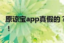 原谅宝app真假的？揭秘这款应用背后的真相！