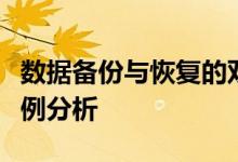 数据备份与恢复的双重保障：策略、实践与案例分析