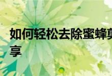 如何轻松去除蜜蜂剪辑中的水印？实用教程分享