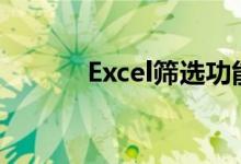 Excel筛选功能详解及操作指南