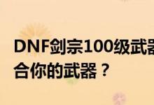 DNF剑宗100级武器选择指南：如何选择最适合你的武器？