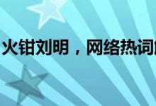 火钳刘明，网络热词解析：含义、起源与流行