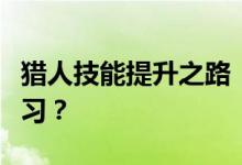 猎人技能提升之路：应该选择哪些专业进行学习？