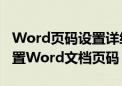 Word页码设置详细教程：一步步教你如何设置Word文档页码