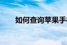 如何查询苹果手机序列号及查询流程